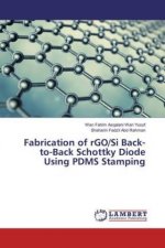 Fabrication of rGO/Si Back-to-Back Schottky Diode Using PDMS Stamping