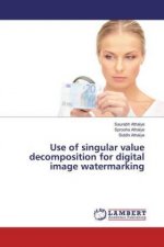 Use of singular value decomposition for digital image watermarking
