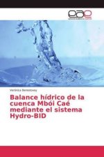 Balance hidrico de la cuenca Mboi Cae mediante el sistema Hydro-BID