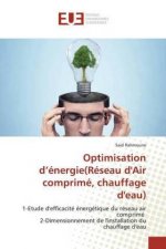 Optimisation d'énergie(Réseau d'Air comprimé, chauffage d'eau)