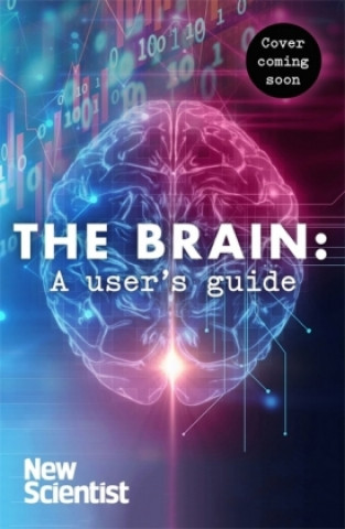 Brain