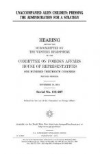 Unaccompanied alien children: pressing the administration for a strategy: hearing before the Subcommittee on the Western Hemisphere of the Committee