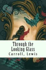 Through the Looking Glass: (And What Alice Found There)