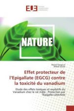 Effet protecteur de l'Epigallate (EGCG) contre la toxicité du vanadium