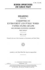 Business opportunities and climate policy