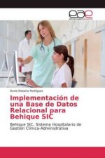 Implementacion de una Base de Datos Relacional para Behique SIC