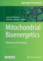 Mitochondrial Bioenergetics
