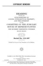 Copyright remedies