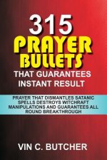 315 Prayer Bullets That Guarantees Instant Result: Prayer That Dismantles Satanic Spells Destroys Witchraft Manipulations And Guarantees All Round Bre