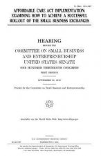 Affordable Care Act implementation: examining how to achieve a successful rollout of the small business exchanges