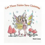 Can these Fairies Save Christmas