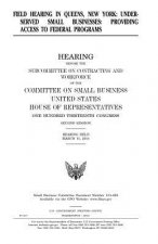 Field hearing in Queens, New York: underserved small businesses: providing access to Federal programs, hearing before the Subcommittee on Contracting