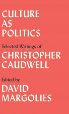 Culture as Politics