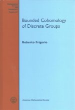 Bounded Cohomology of Discrete Groups