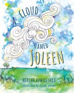 Cloud Named Joleen