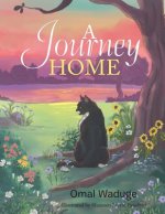 Journey Home