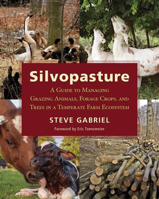 Silvopasture