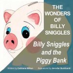 Wonders of Billy Sniggles