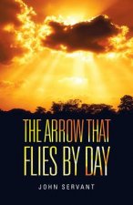 Arrow That Flies by Day