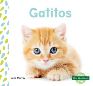 Gatitos (Kittens) (Spanish Version)