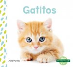 Gatitos (Kittens) (Spanish Version)