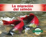 La Migración del Salmón (Sal