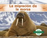 La Migración de la Morsa (Walrus Migration)