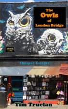 The Owls of London Bridge