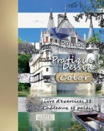 Pratique Dessin [Color] - XL Livre d'exercices 28: Châteaux et palais