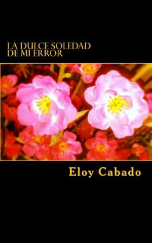 dulce soledad de mi error