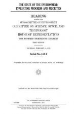 The state of the environment: evaluating progress and priorities