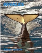 Whales: Whale Facts for Kids, Whales Gentle Giants of the Sea