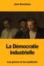 La Démocratie industrielle: Les gr?ves et les syndicats