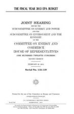 The fiscal year 2013 EPA budget