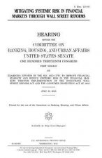 Mitigating systemic risk in financial markets through Wall Street reforms
