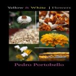Yellow & White - Flowers: Photo Album