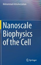 Nanoscale Biophysics of the Cell