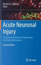 Acute Neuronal Injury