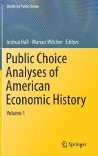 Public Choice Analyses of American Economic History