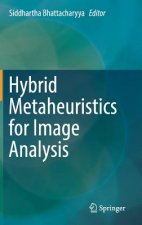 Hybrid Metaheuristics for Image Analysis