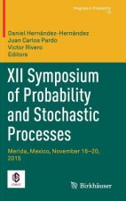 XII Symposium of Probability and Stochastic Processes