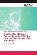 Ondas De Choque Como Solucion De La Ley de Conservacion No Lineal