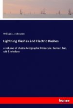 Lightning Flashes and Electric Dashes
