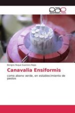 Canavalia Ensiformis