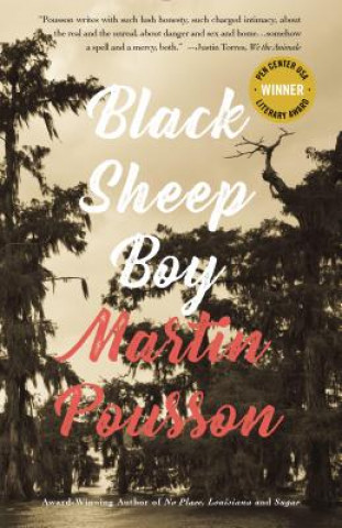 Black Sheep Boy: A Novel in Stories