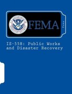 Is-558: Public Works and Disaster Recovery