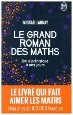 Le grand roman des maths