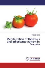 Manifestation of Heterosis and Inheritance pattern in Tomato