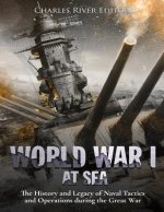 World War I at Sea: The History and Legacy of Naval Tactics and Operations during the Great War
