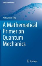 Mathematical Primer on Quantum Mechanics